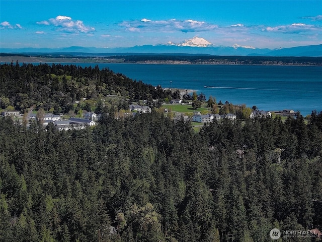 1219 S St, Port Townsend, WA 98368