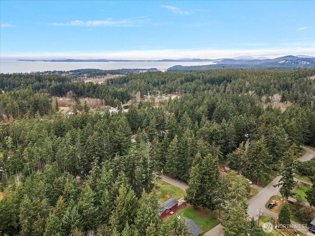 birds eye view of property featuring a forest view and a mountain view