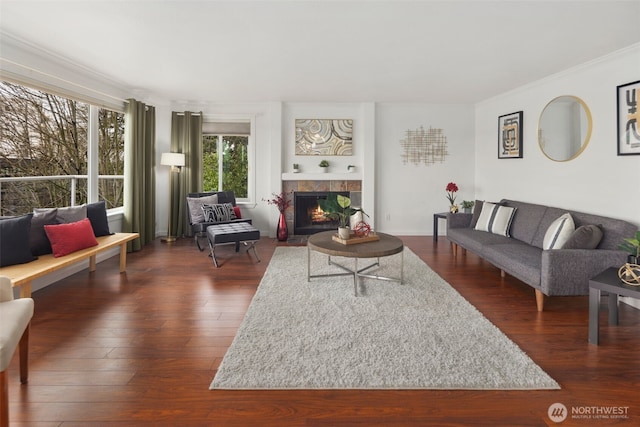 living area with a fireplace, dark wood-style flooring, and ornamental molding