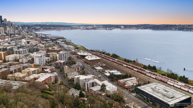 birds eye view of property featuring a city view and a water view