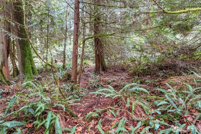 2902 136th St NW, Gig Harbor, WA 98332