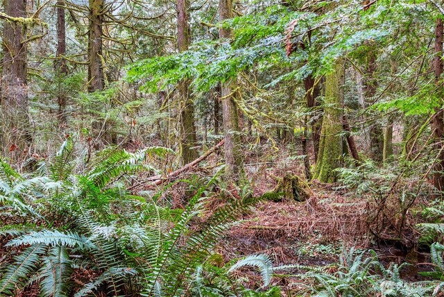 2902 136th St NW, Gig Harbor, WA 98332