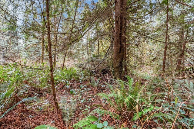 2902 136th St NW, Gig Harbor, WA 98332