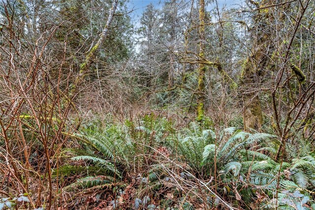 2902 136th St NW, Gig Harbor, WA 98332