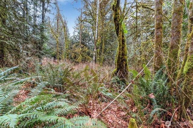 2902 136th St NW, Gig Harbor, WA 98332