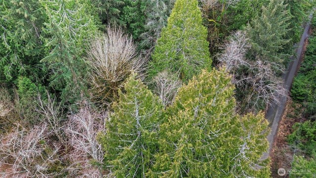 2902 136th St NW, Gig Harbor, WA 98332