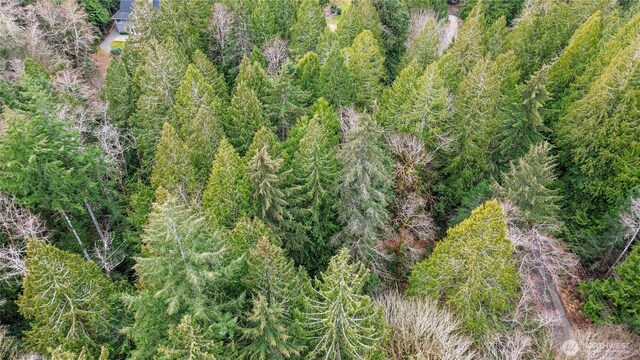 2902 136th St NW, Gig Harbor, WA 98332