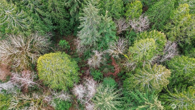 2902 136th St NW, Gig Harbor, WA 98332