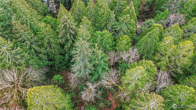 2902 136th St NW, Gig Harbor, WA 98332
