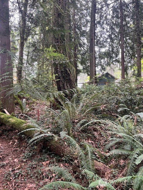 2902 136th St NW, Gig Harbor, WA 98332