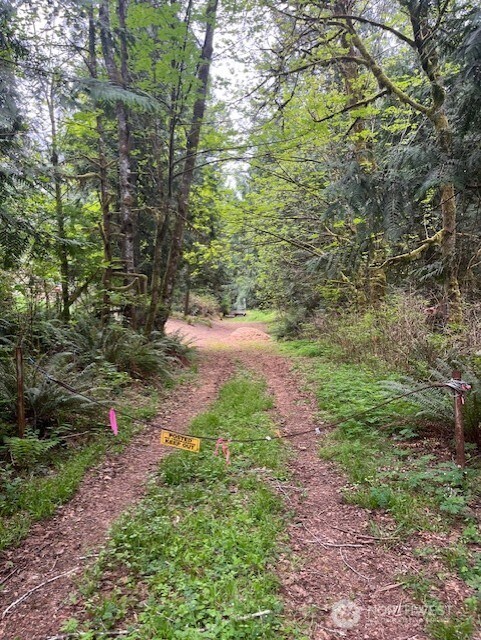 2902 136th St NW, Gig Harbor, WA 98332