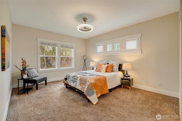 bedroom featuring carpet, multiple windows, and baseboards