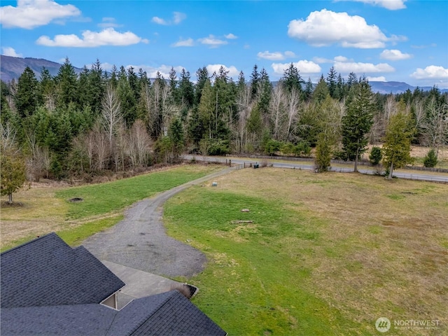 view of yard with a mountain view and a view of trees