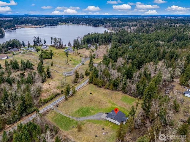 aerial view with a water view and a view of trees