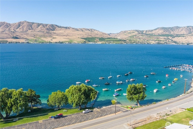 water view featuring a mountain view