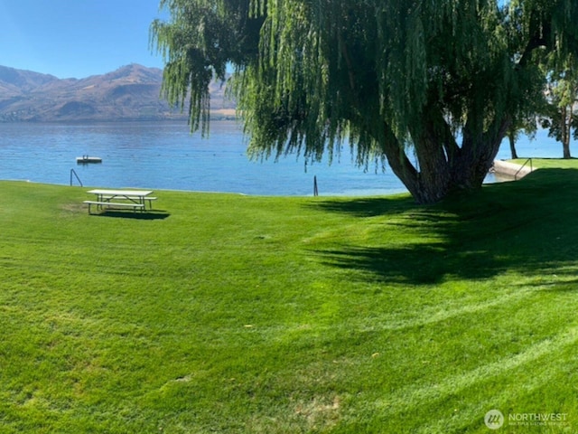 view of yard with a water and mountain view