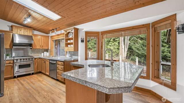 kitchen featuring stainless steel appliances, a sink, decorative backsplash, and exhaust hood