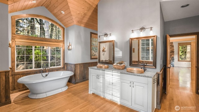 bathroom featuring a wainscoted wall, vaulted ceiling, plenty of natural light, and wood finished floors