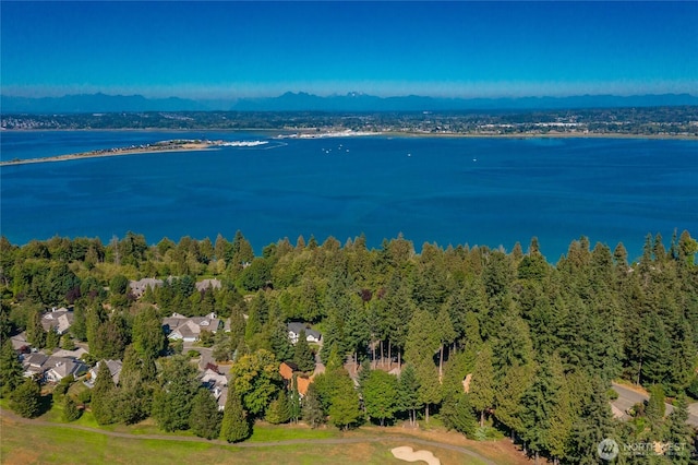 5526 Puffin Pl, Blaine, WA 98230 - photo 10