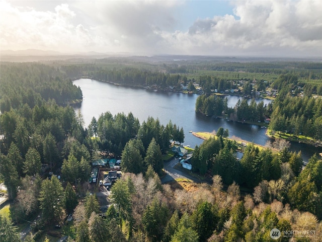 bird's eye view featuring a forest view and a water view