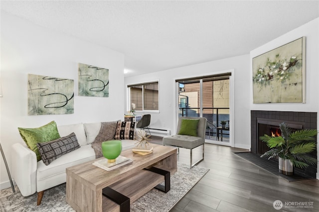 living room featuring a fireplace with flush hearth, a baseboard radiator, and wood finished floors