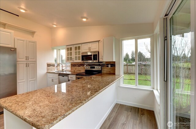 kitchen featuring backsplash, light wood-style floors, plenty of natural light, stainless steel appliances, and a sink