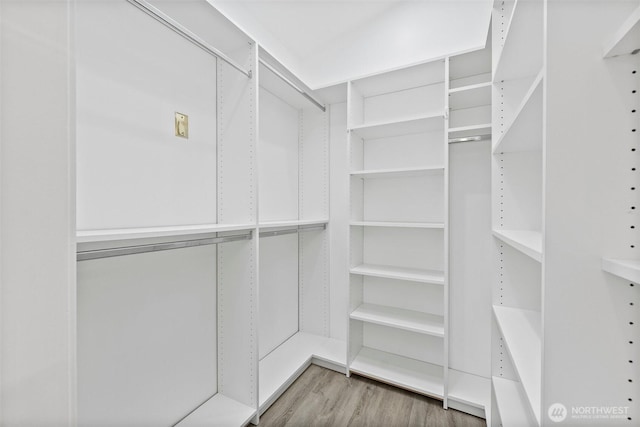 spacious closet featuring wood finished floors