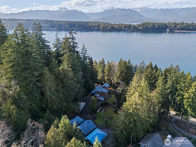 drone / aerial view featuring a forest view and a water and mountain view