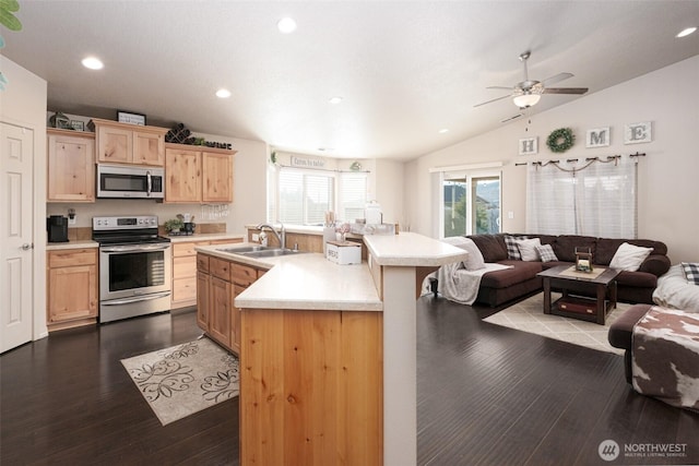 kitchen with appliances with stainless steel finishes, open floor plan, a sink, and light brown cabinetry