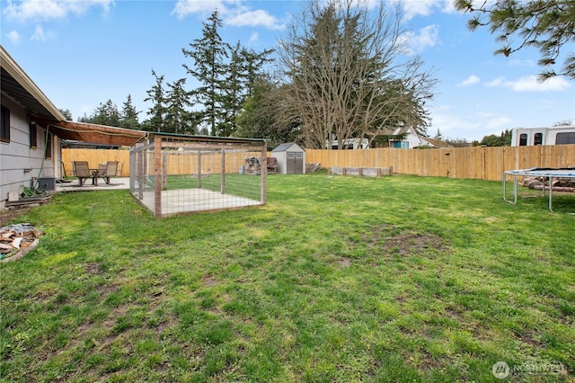 view of yard with a storage shed, a patio, a fenced backyard, a trampoline, and an outdoor structure