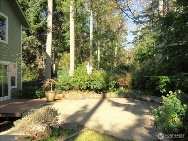 view of yard featuring a patio