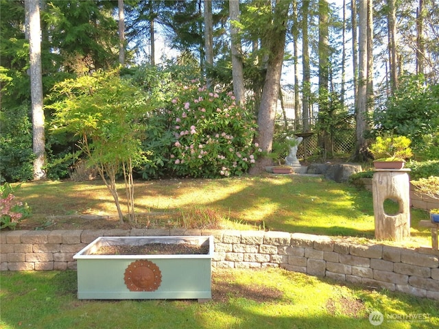 view of yard with a vegetable garden and fence