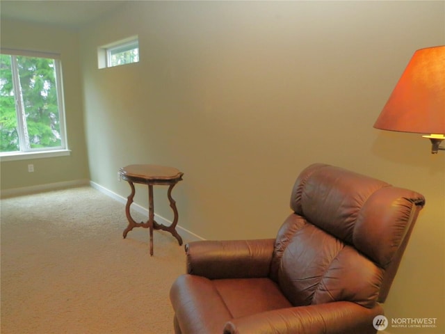 sitting room with baseboards and carpet floors