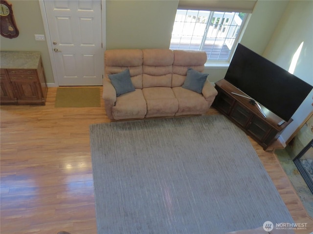 living room featuring light wood-style flooring