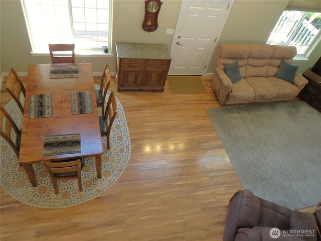 living room with a healthy amount of sunlight, light wood-style flooring, and baseboards