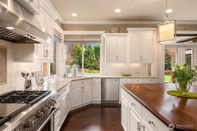 kitchen featuring wooden counters, a sink, dark wood-type flooring, appliances with stainless steel finishes, and under cabinet range hood