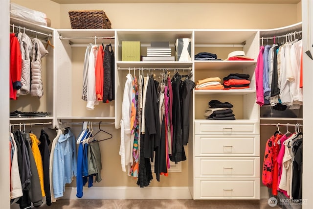 view of walk in closet
