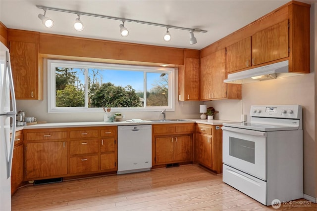 kitchen featuring white appliances, under cabinet range hood, brown cabinetry, and a sink