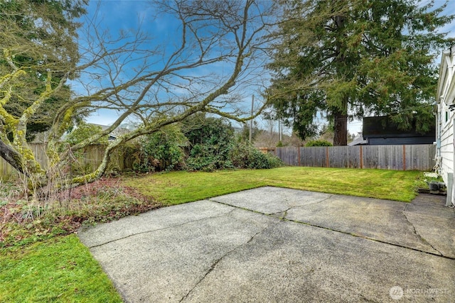 view of yard featuring a patio area and a fenced backyard