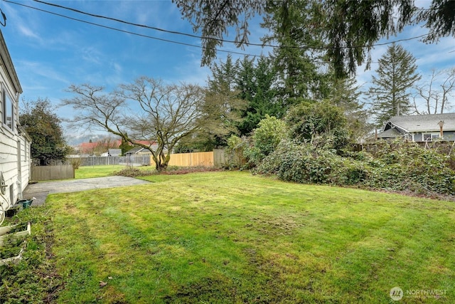 view of yard featuring a patio area and a fenced backyard