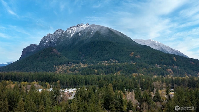 property view of mountains featuring a wooded view