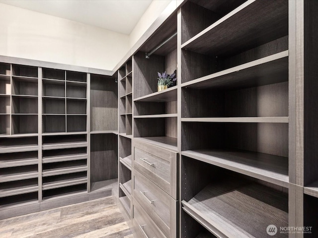 walk in closet featuring wood finished floors