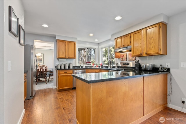 kitchen featuring under cabinet range hood, a peninsula, stainless steel appliances, and dark wood-type flooring