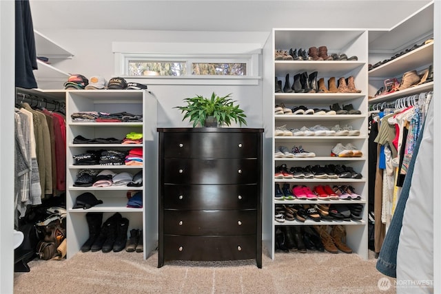 spacious closet featuring carpet floors