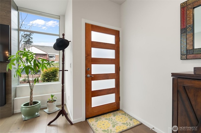 entrance foyer featuring baseboards, wood finished floors, and a healthy amount of sunlight