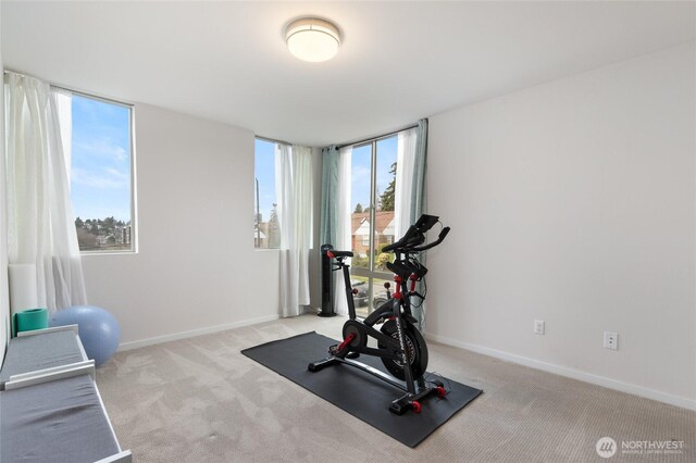 exercise room with carpet flooring and baseboards