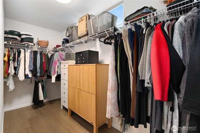 spacious closet featuring light wood finished floors