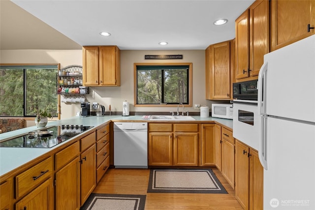 kitchen with light wood-style floors, plenty of natural light, white appliances, and a sink