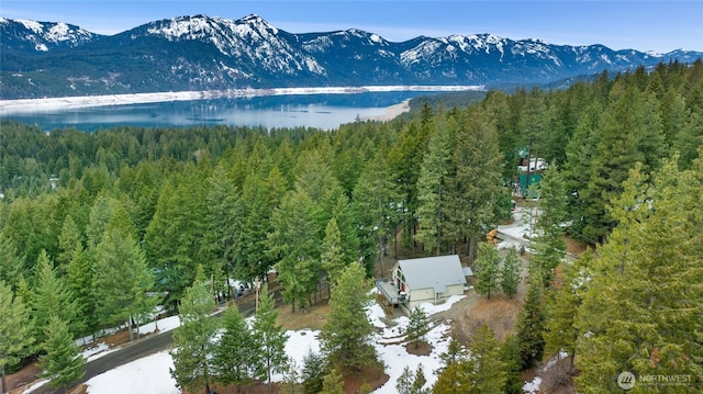 birds eye view of property featuring a view of trees and a water and mountain view