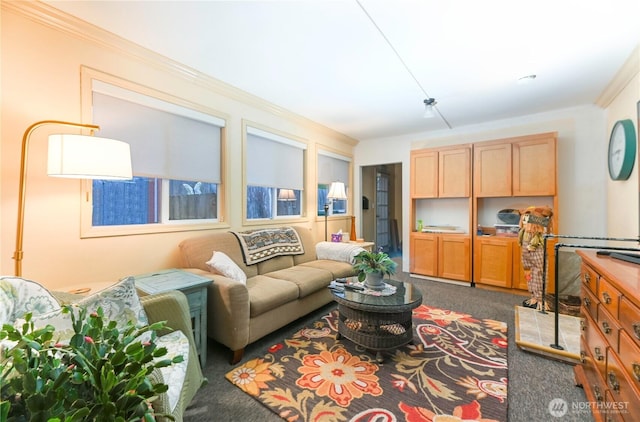 carpeted living room with crown molding